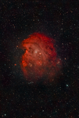 NGC2174_2019.12.10