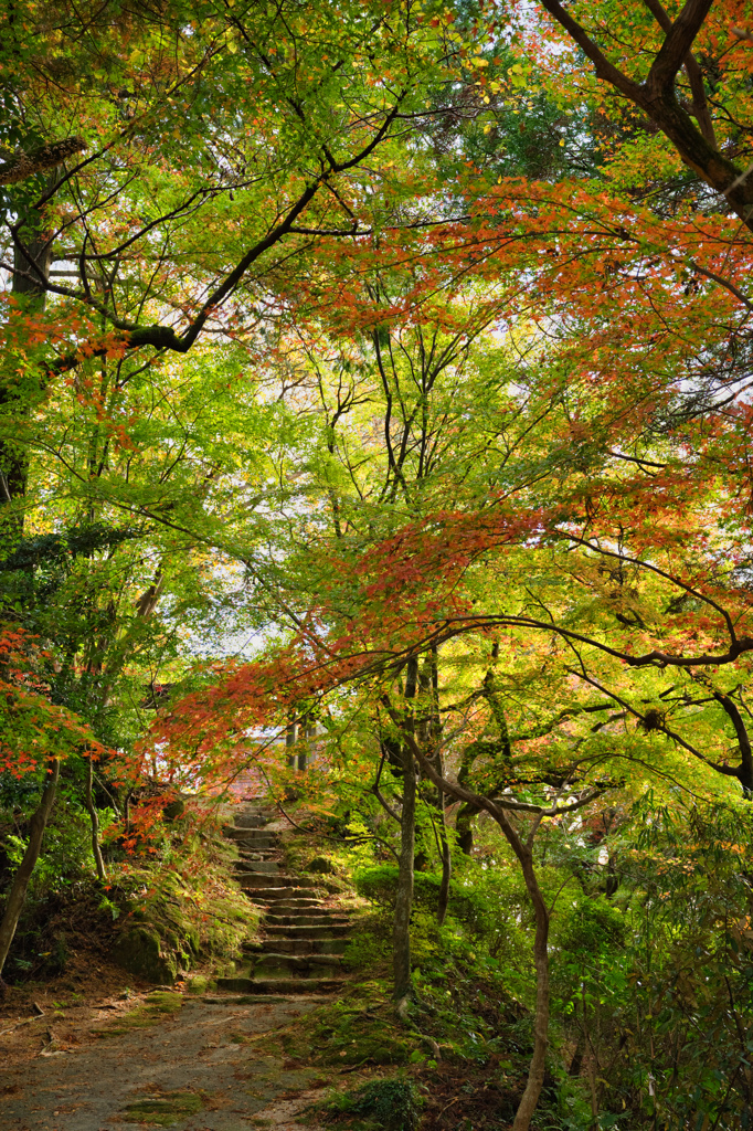 仁比山神社-2