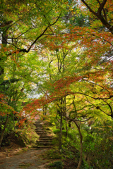 仁比山神社-2