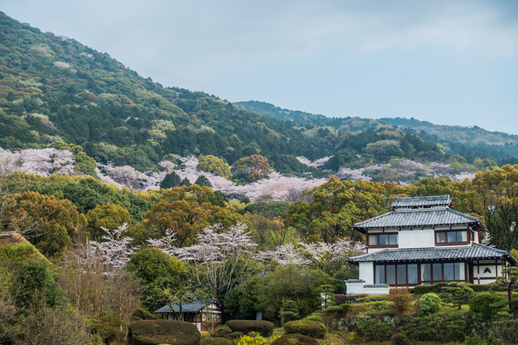 金立公園