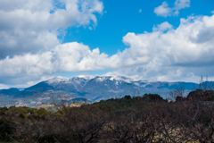 牛尾梅林から天山