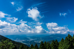 上空に巻雲