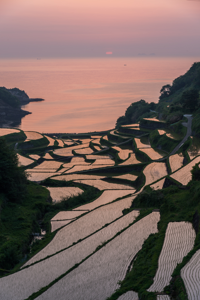 浜野浦2013.05.13-20
