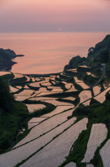 浜野浦2013.05.13-20