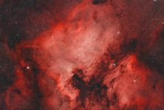 NGC7000_2024.07.31