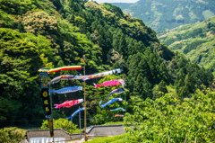 山間の鯉のぼり