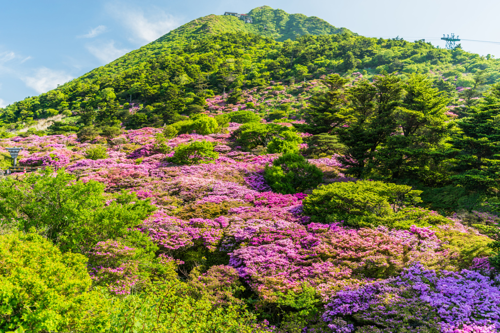 朝の仁田峠-1