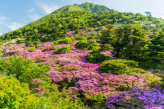 朝の仁田峠-1