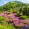 朝の仁田峠-1