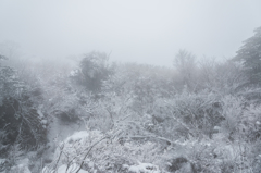 霧氷沢にて-1