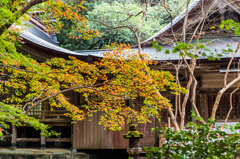 仁比山神社の紅葉-2