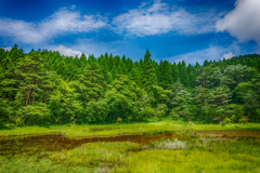 樫原湿原-3