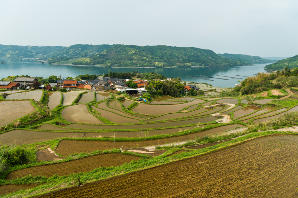 瓜ヶ坂の棚田-1