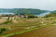 瓜ヶ坂の棚田-1