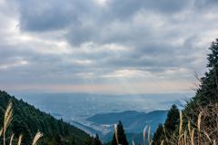 スポットライト