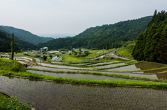 田植え後の江里山棚田
