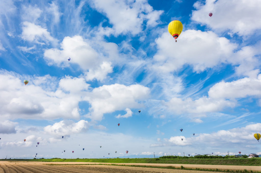 梅雨の合間のバルーン大会-4
