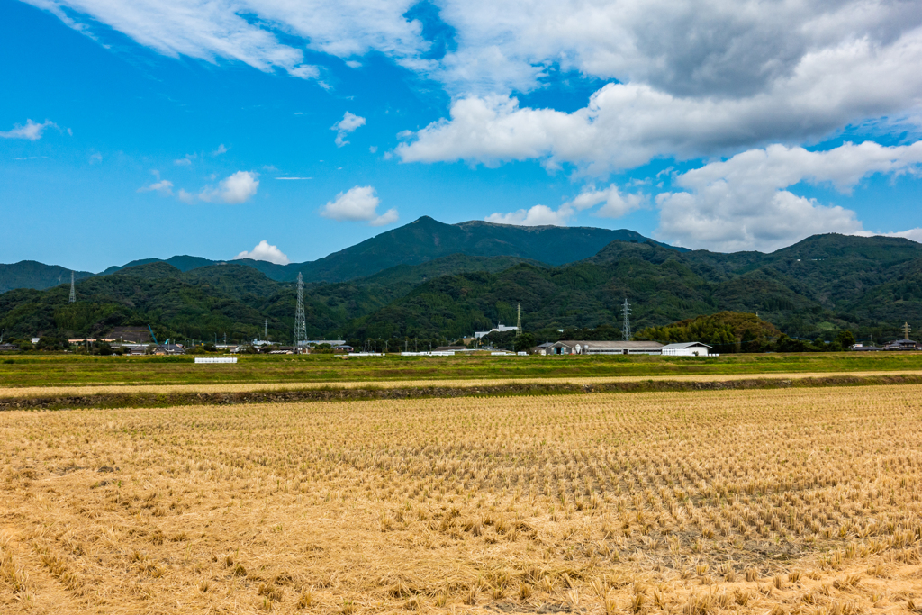 稲刈り後の田んぼ