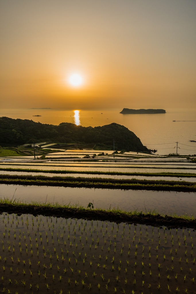 納所2015.05.01_1822