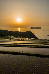 納所2015.05.01_1822