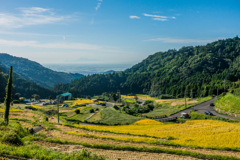 秋の江里山棚田-1