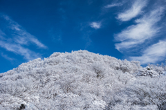 妙見岳の霧氷