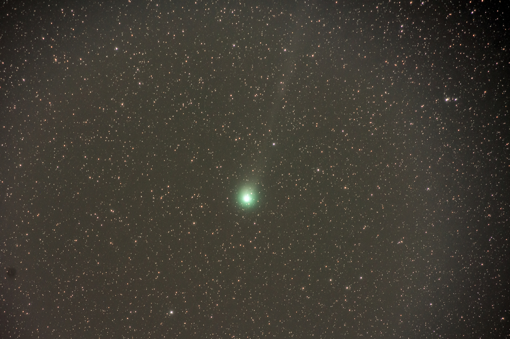 Lovejoy2014Q2_2015.02.01