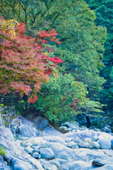 雄淵雌淵-4