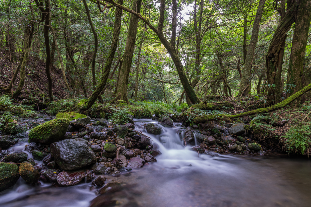 画角比較24mm(24-120:F4)