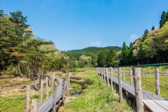 今朝の樫原湿原