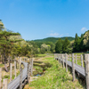 今朝の樫原湿原