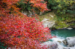 雄淵雌淵の紅葉-1