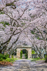 円応寺の石門-2