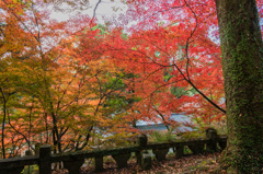 仁比山神社-社務所裏_2014.11.20