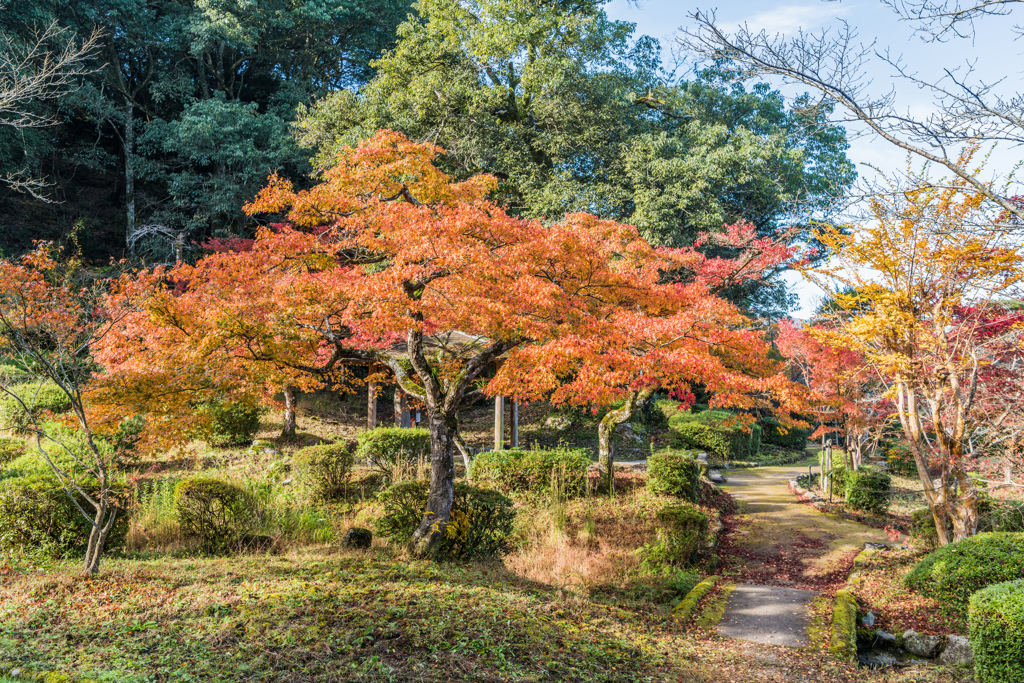 西渓公園-2