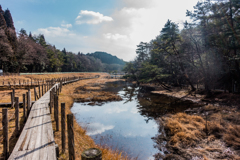 冬の湿原-2