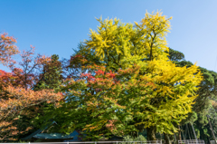 杉山白石神社-1