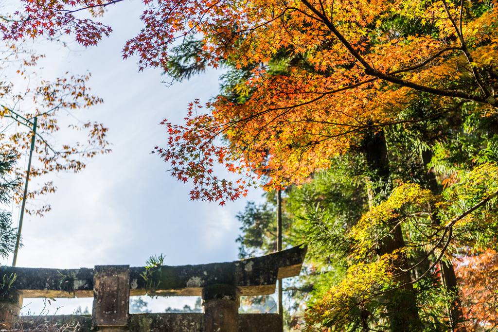 多久八幡神社-1
