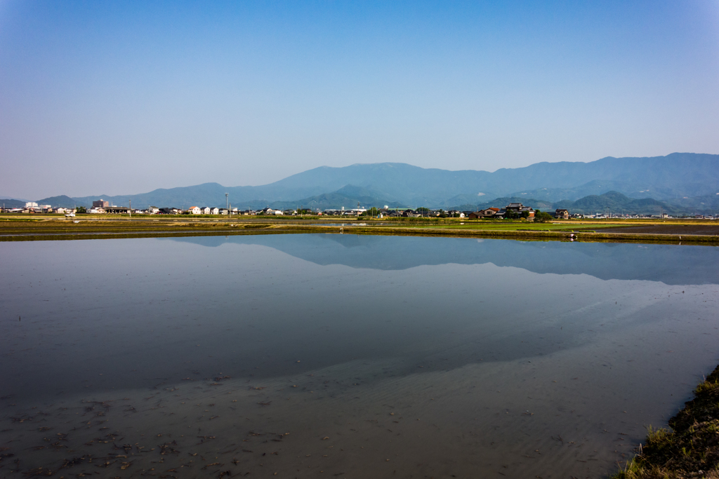 田植え前