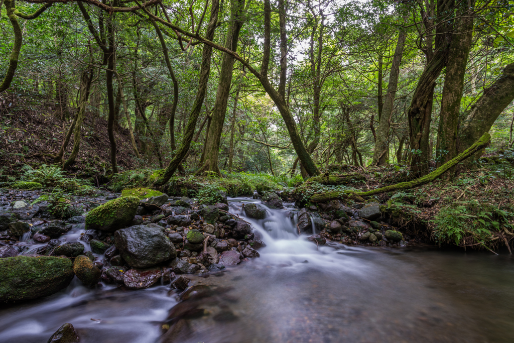 画角比較20mm(20mm:F1.8)