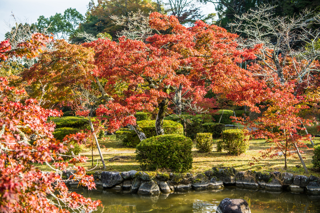 西渓公園-1