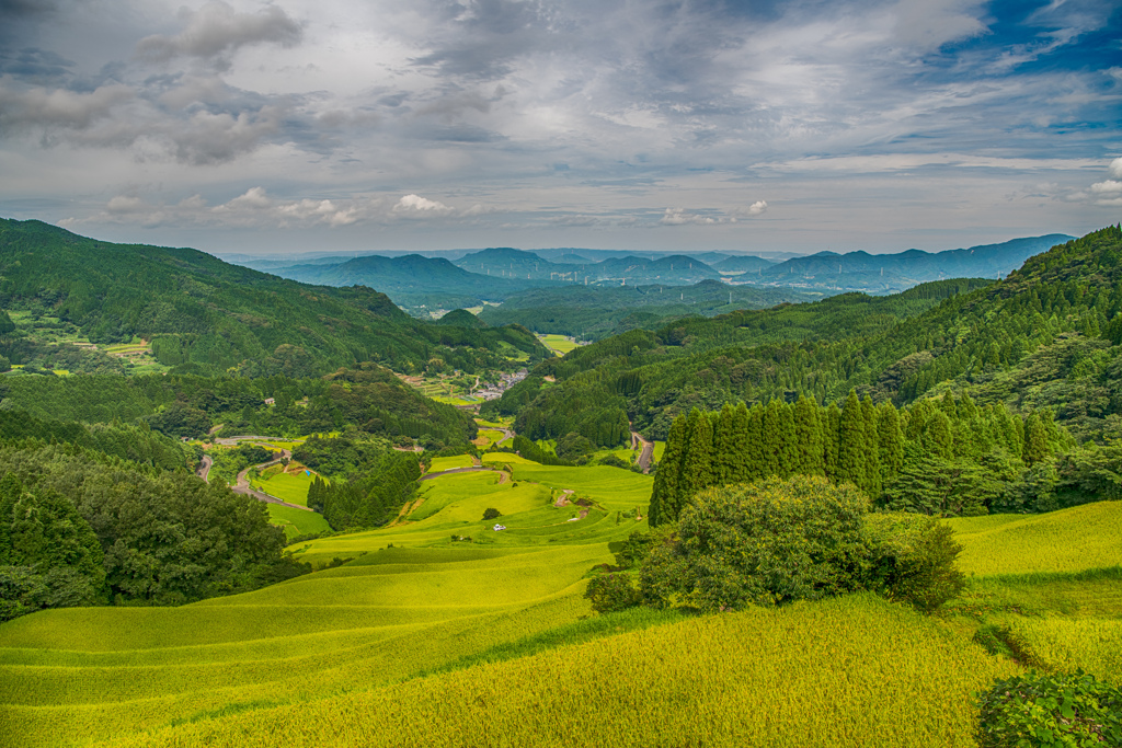 太平の棚田