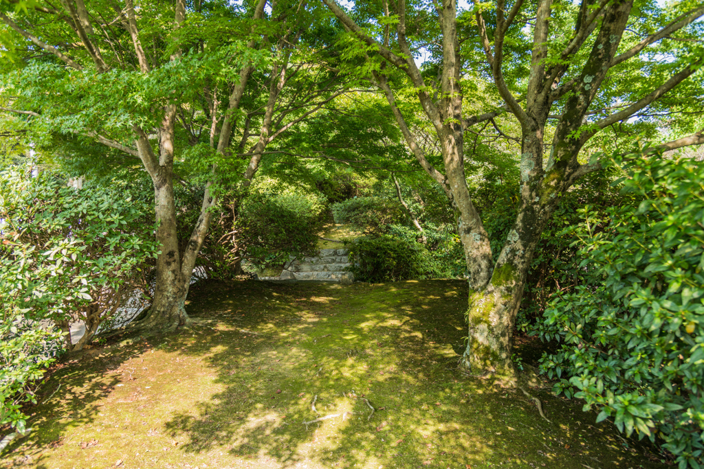 火ノ山砲台跡-2