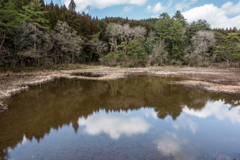 樫原湿原-北側
