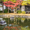 紅葉のリフレクション