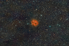 IC5146_2019.10.21