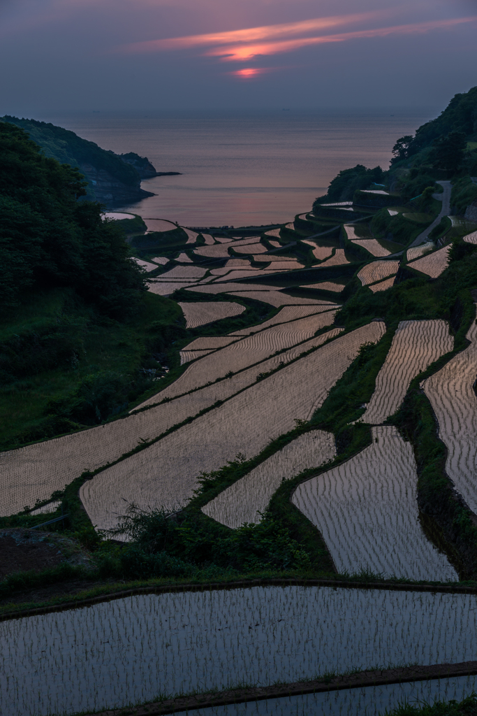 浜野浦2014.05.09-13
