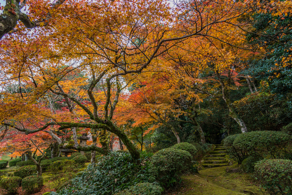 西渓公園-1
