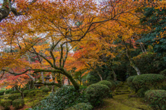 西渓公園-1