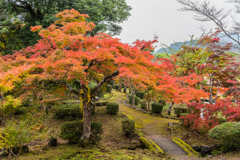 多久西渓公園-2